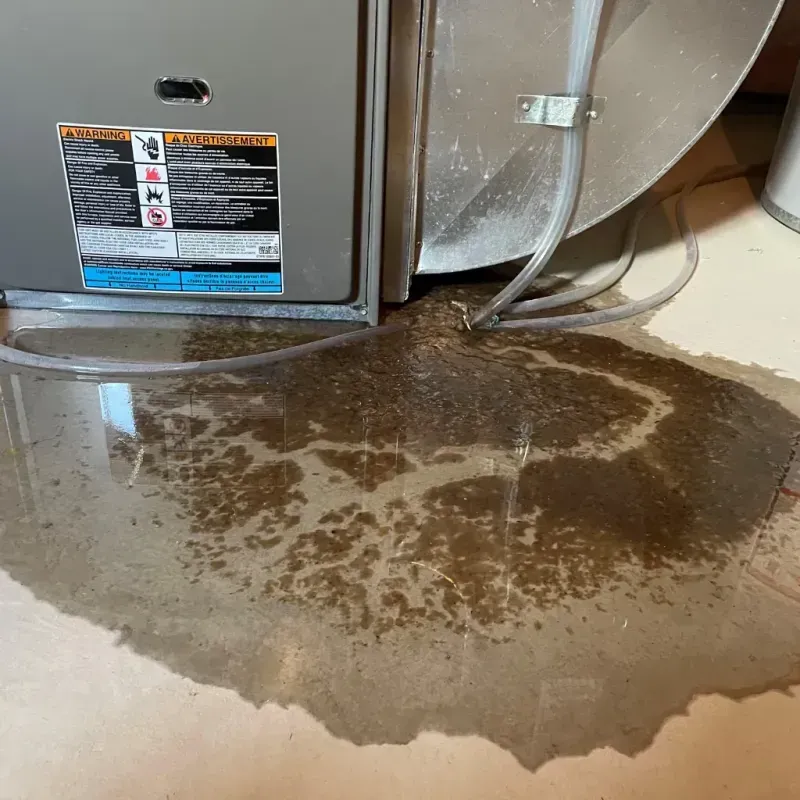 Appliance Leak Cleanup in Fort Sumner, NM